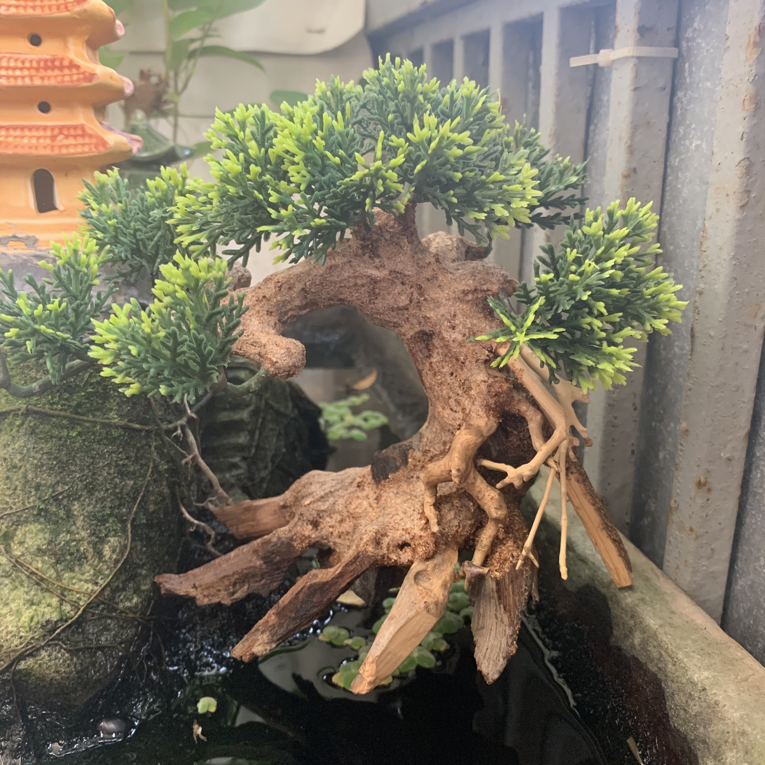 Cây Bonsai Cao Cấp Trang Trí Hồ Cá Thuỷ Sinh .