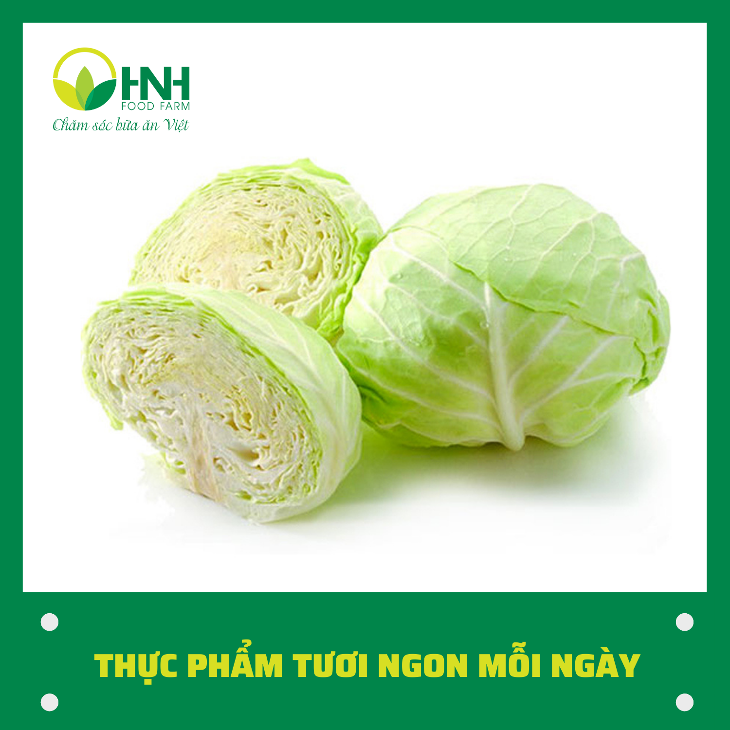 CHỈ GIAO HÀ NỘI Cải bắp sạch ngon trợ giá mùa dịch - HNH Food Farm