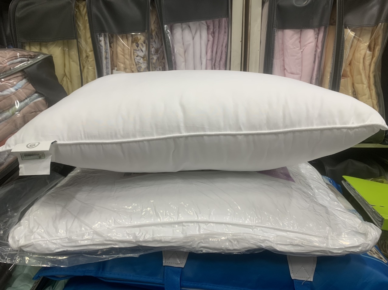 Ruột gối nằm Everon