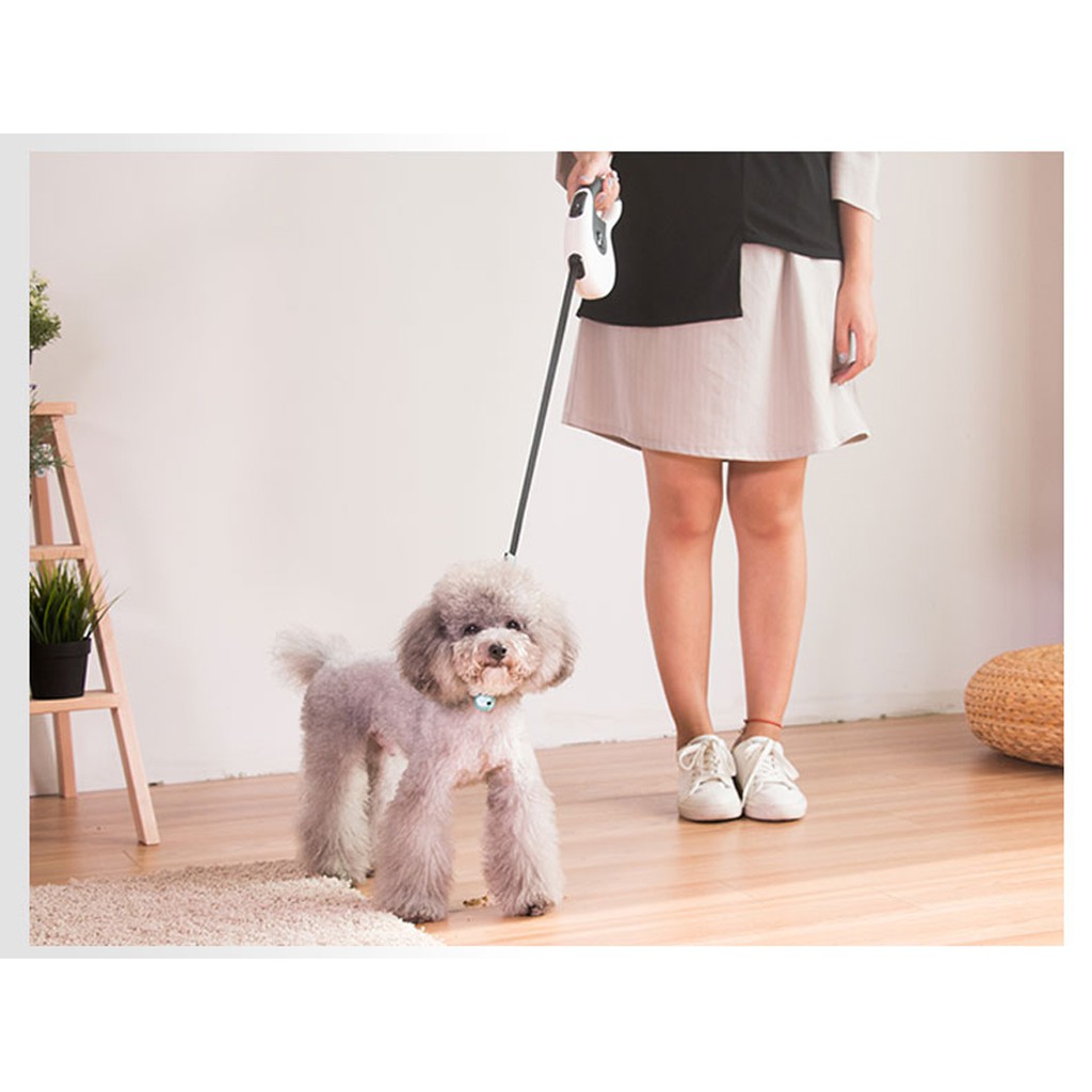 Leads dog automatic retractable 5m