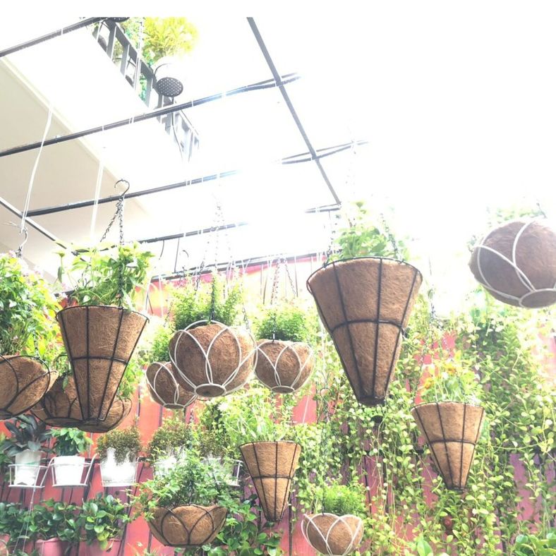 [GREEN HOUSE] Chậu treo xơ dừa chóp nón trang trí