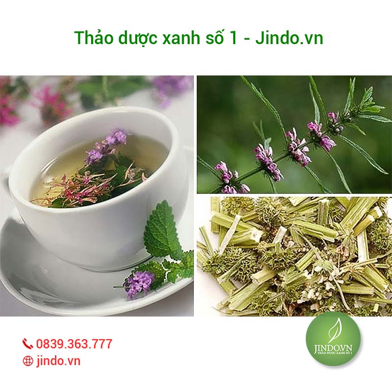 Cây ích mẫu (gói 1kg khô) - LV020