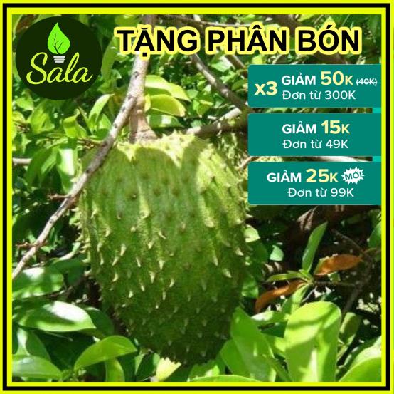 CÂY GIỐNG MÃNG CẦU XIÊM THÁI LAN