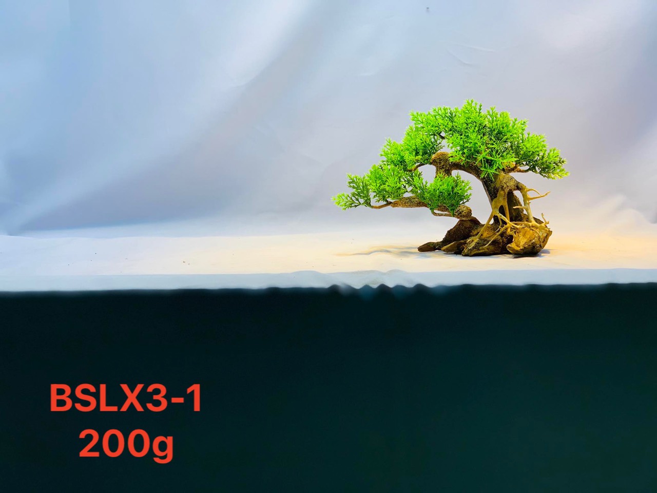 Gỗ lũa thủy sinh _ BSLX5 Driftwood bonsai_20 x25 (cm) _Cây gỗ lũa bonsai dáng đổ (Có 6 loại: Tán xương, tán gỗ, Bông Tùng xanh, Bông Tùng đỏ, Tùng Cam, Tùng màu kem)