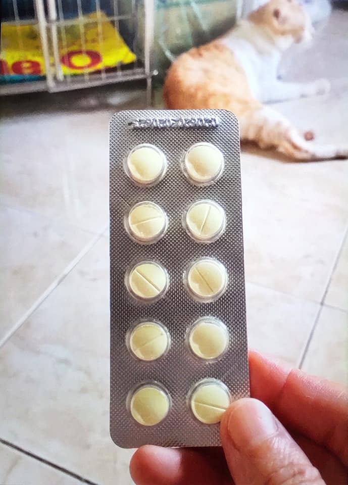 Tẩy giun sán chó mèo Sanpet (có bán lẻ)