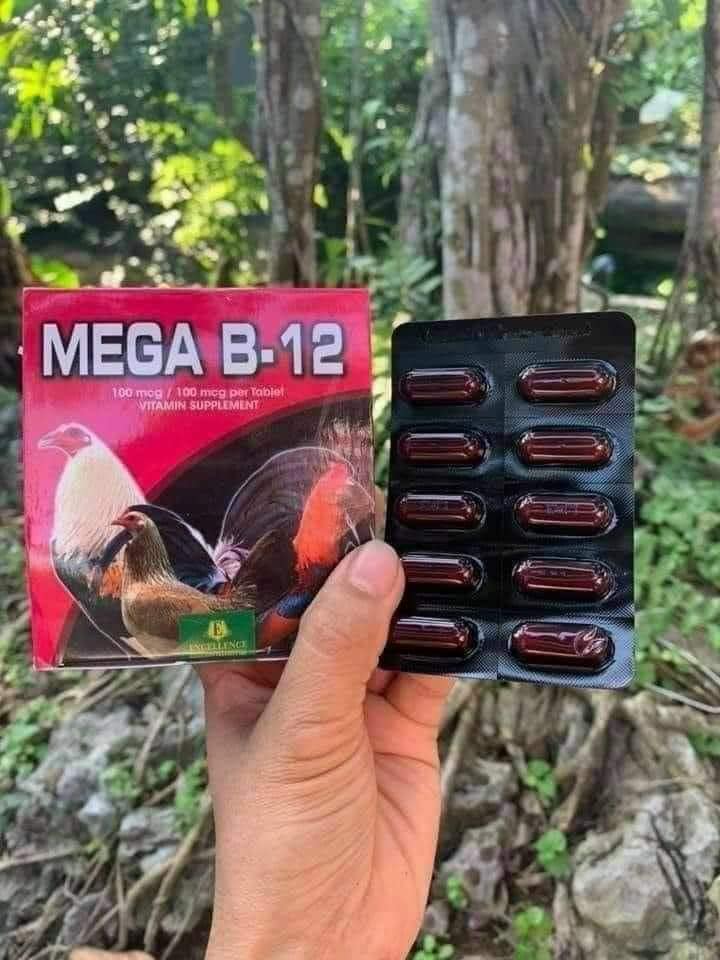 Mega b12 - tăng nước máu, nở hình, tăng bo đá cho gà