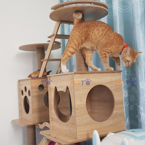 Cat Tree Cho Mèo - Cat House