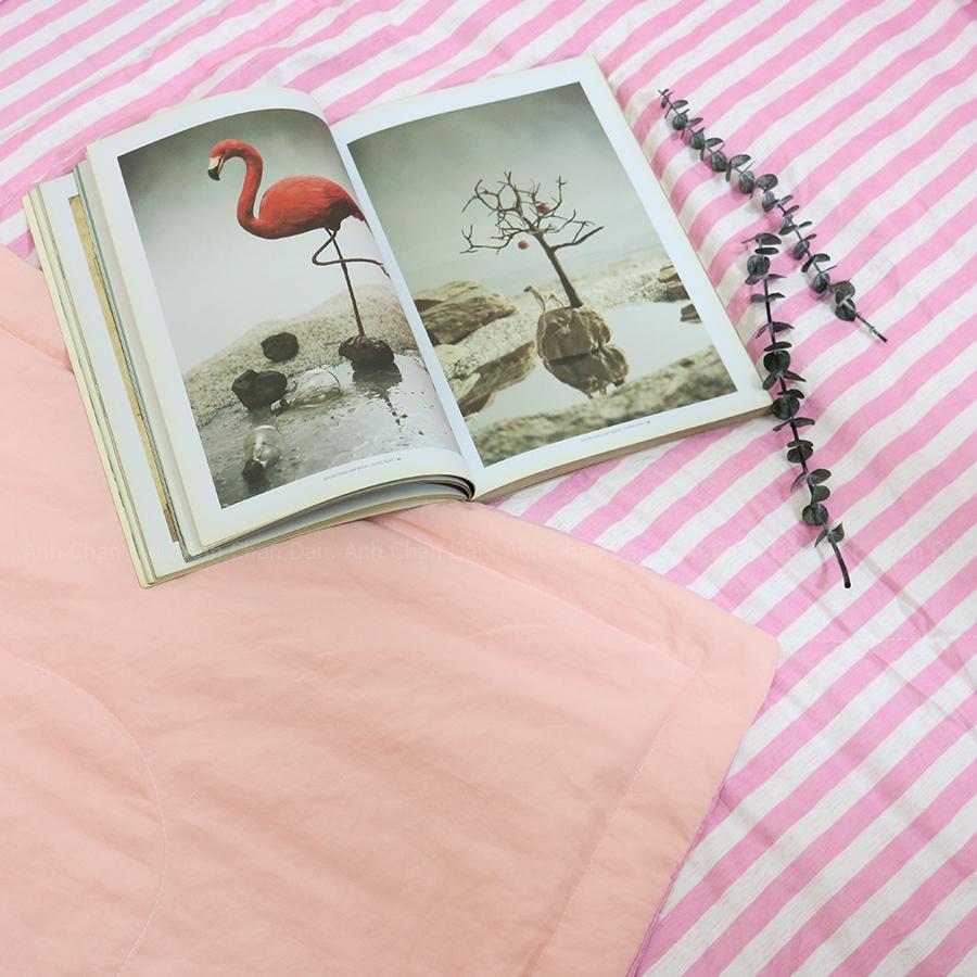 Bộ Ga Gối Cotton Đũi Hàn Quốc - ACD 009