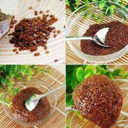 Hạt Ngũ Hoa Đắp Mặt Nạ 100gr