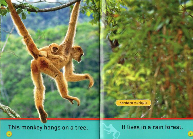 Bản nhập - National Geographic kids - Level Pre K - 30c