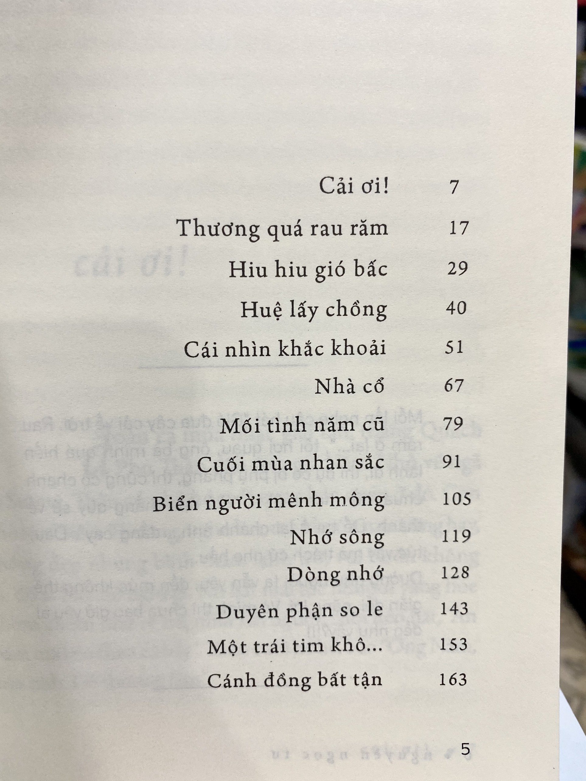Cánh Đồng Bất Tận - Nguyễn Ngọc Tư
