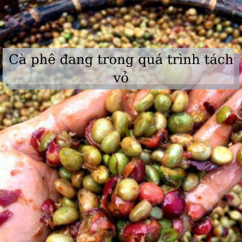 500gr Cà phê ROBUSTA& ARABICA rang xay nguyên chất 100%,cafe rang mộc