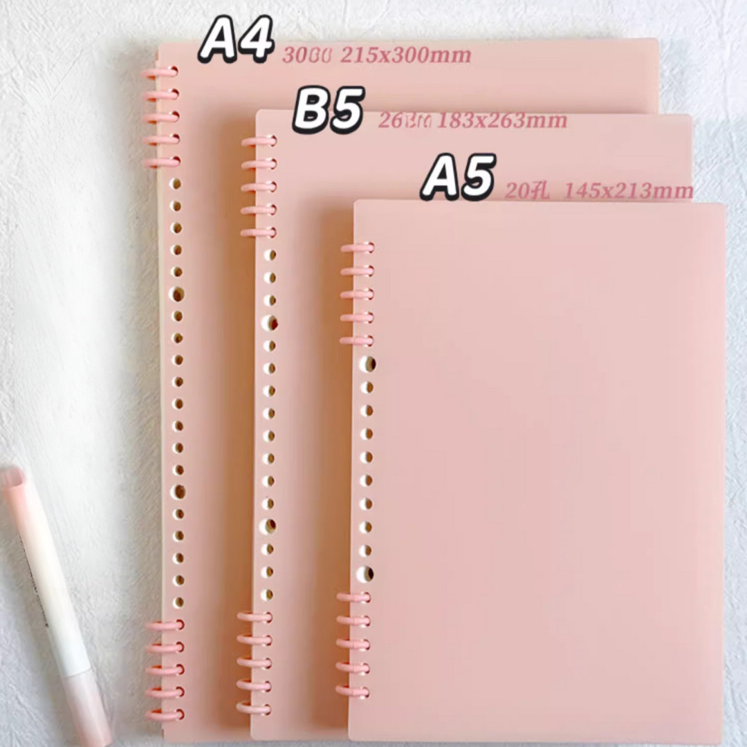 BÌA PHÂN MÀU SỔ CÒNG A5(20)/B5(26)/A4(30)