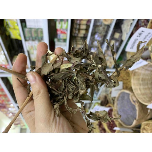 [HCM]ĐINH LĂNG 500GRAM