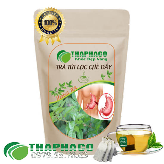 Trà Túi Lọc Chè Dây, Tốt Cho Tiêu Hóa - Thaphaco