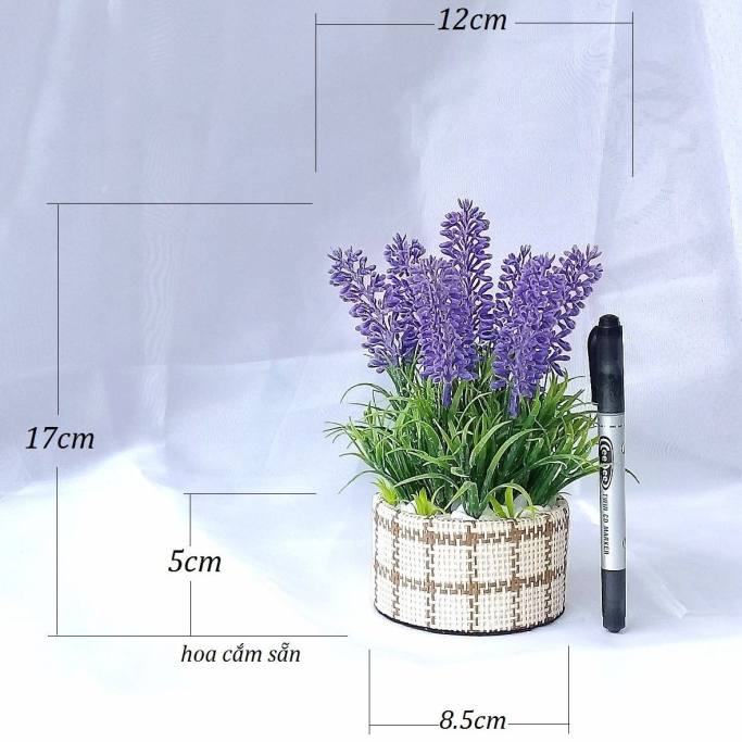Hoa lavender khô cần thơ