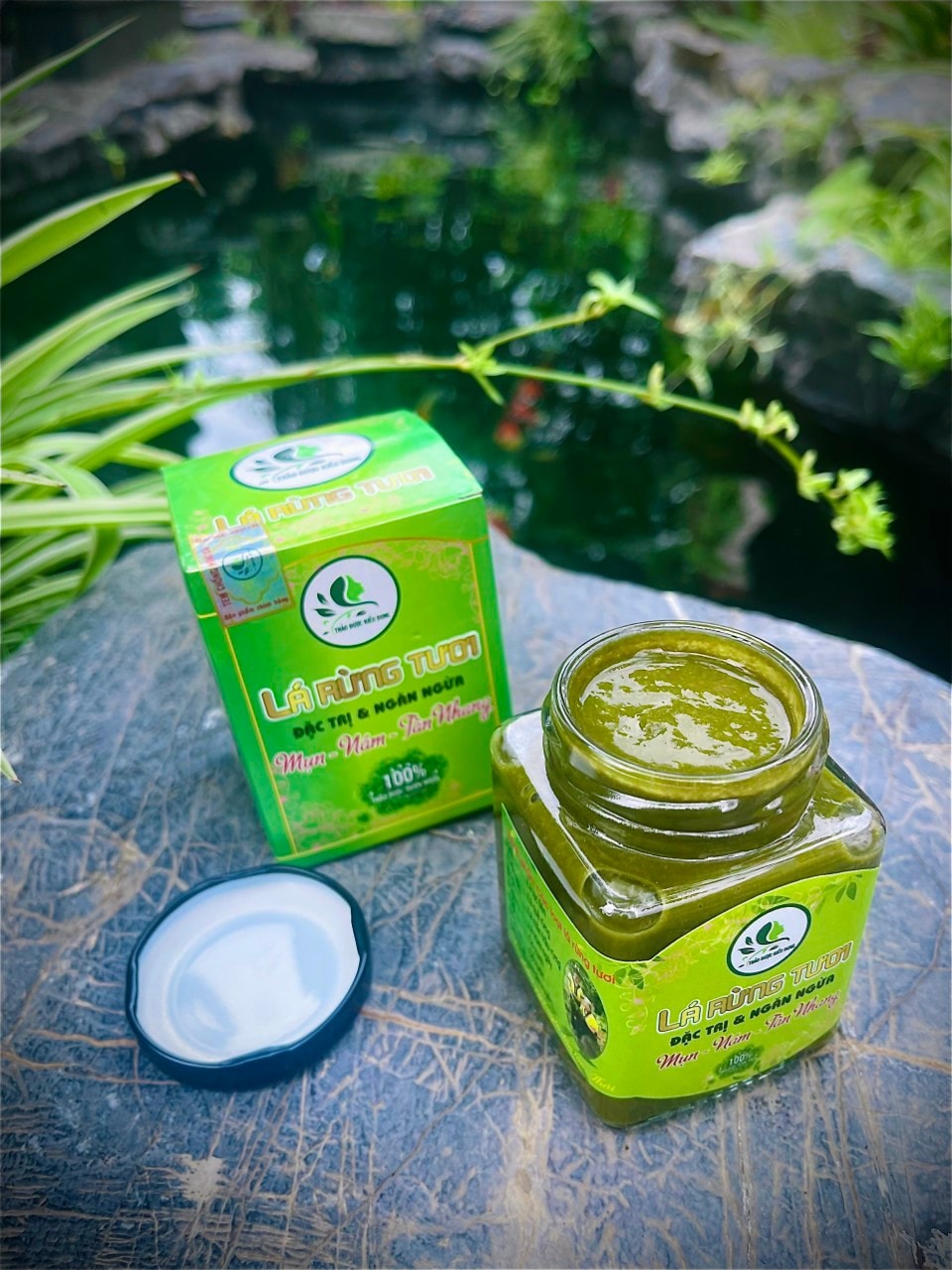 Cao Lá Rừng Tươi