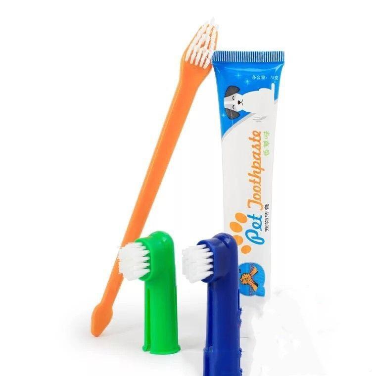 Bộ kem đánh răng Pet joothpaste Phụ Kiện Long Vũ
