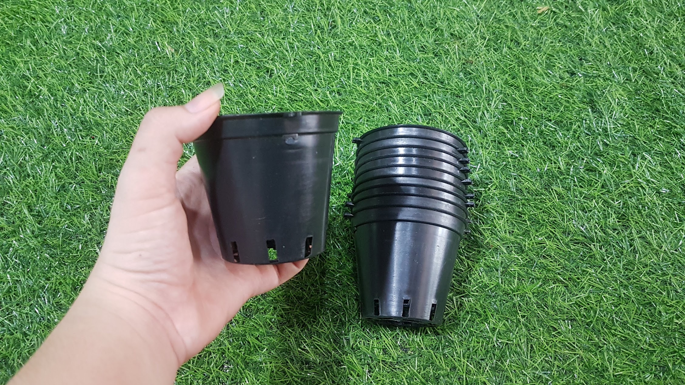 Combo 10 chậu đen trồng lan phi 8cm
