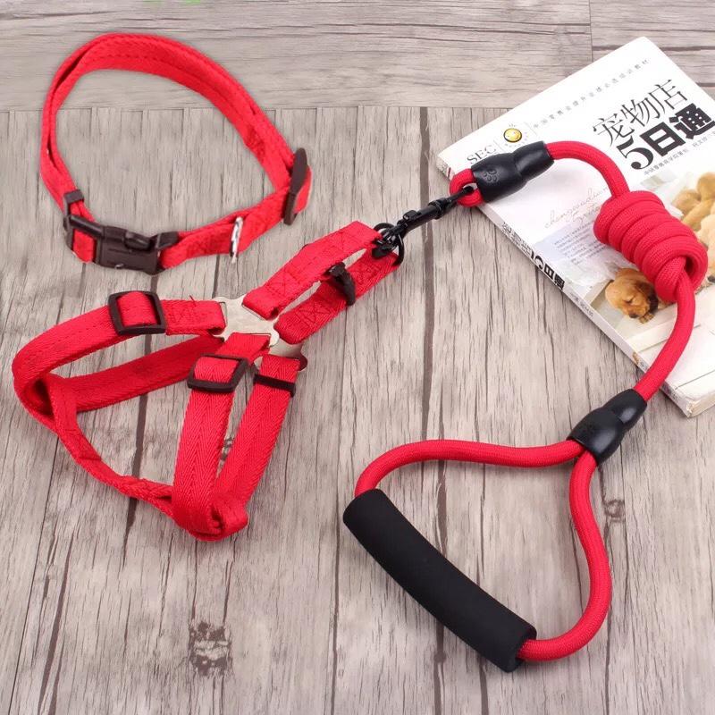 [HCM]Dây dắt 3 in 1 ( Dây dắt Vòng cổ Đai bụng) cho thú cưng