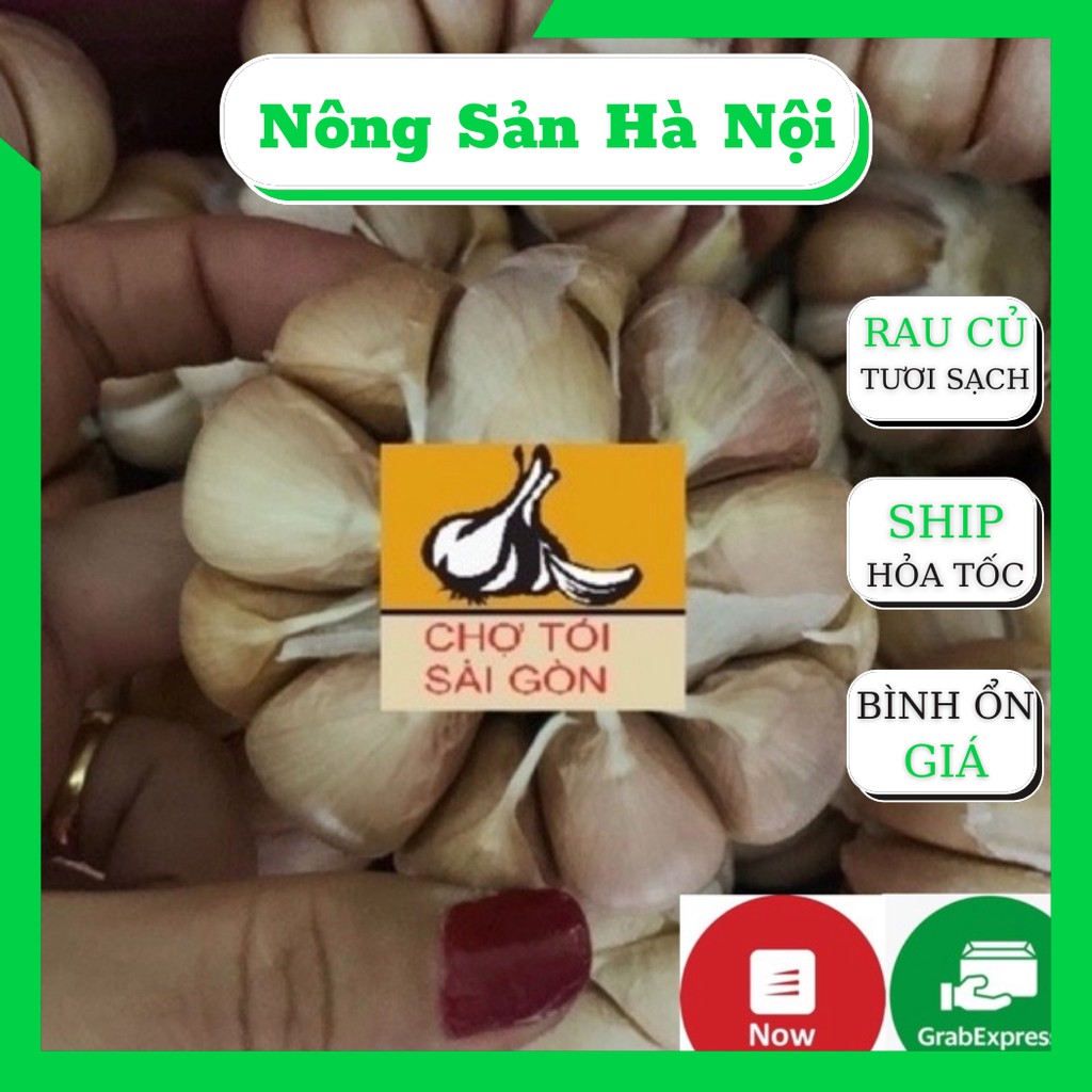 [TỎI CỦ TO ĐẸP- HÌNH THẬT] Tỏi củ 500g -1kg