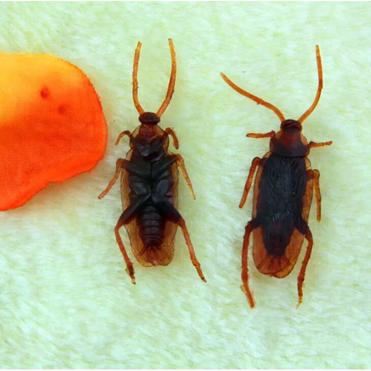 Combo 10 con gián giả nhựa dẻo 5.5cm