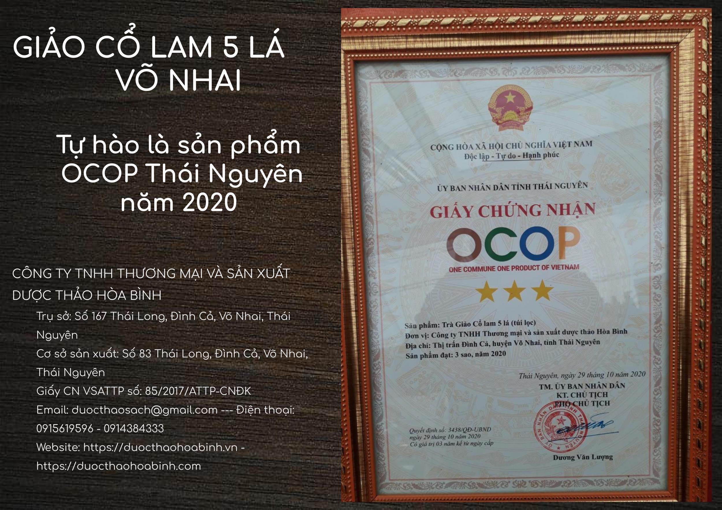Trà Giảo cổ lam 5 lá Võ Nhai