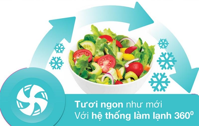 Tủ lạnh Electrolux EME3700H-H