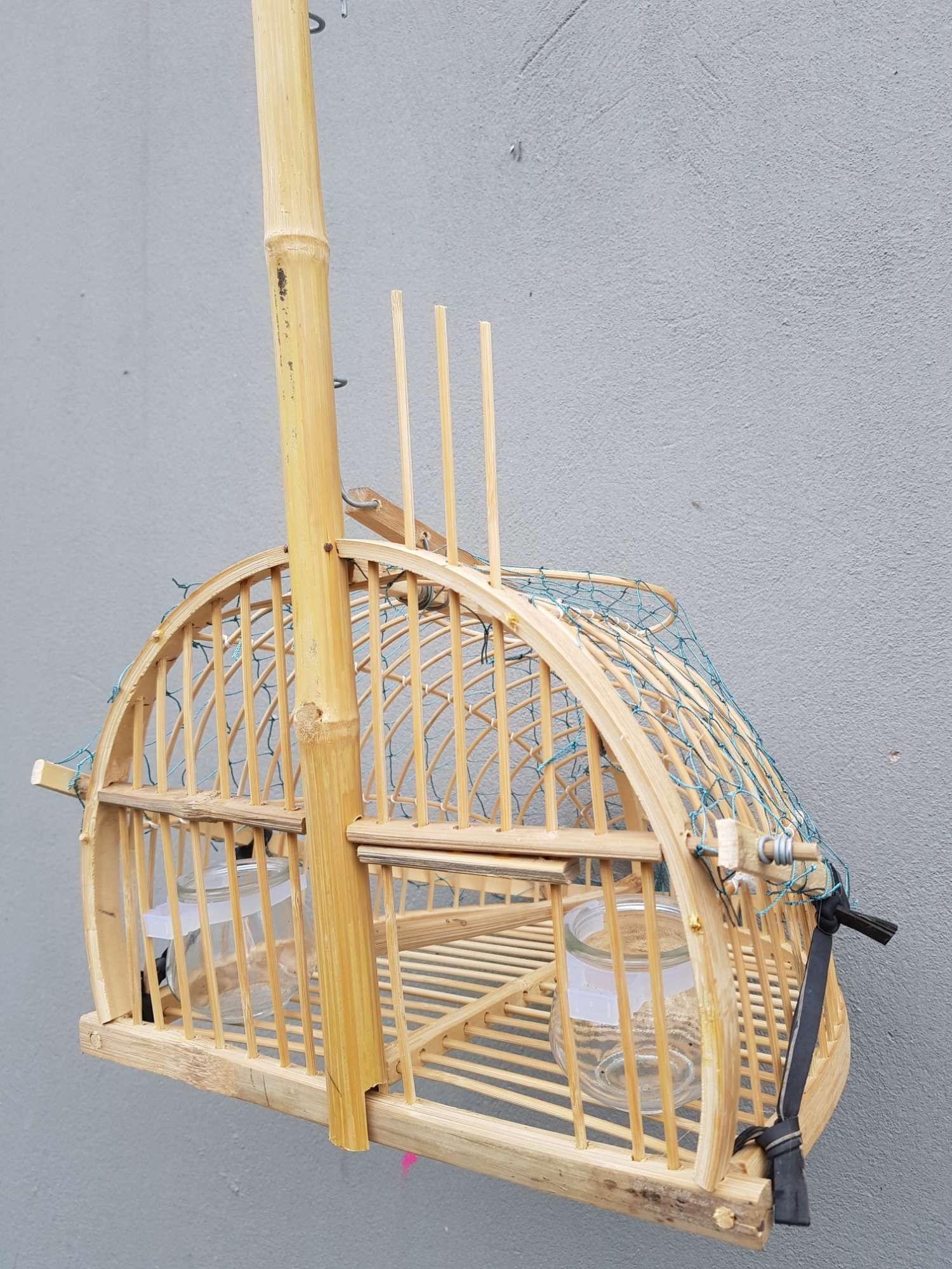 Lồng bẫy chim chào mào mi khướu