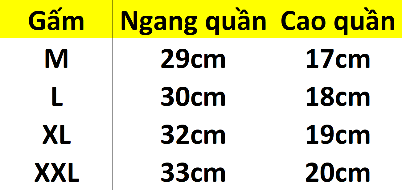 Combo 5 quần lót nữ gấm hoa Lady 500 – Co giãn, thoáng mát, họa tiết sang trọng