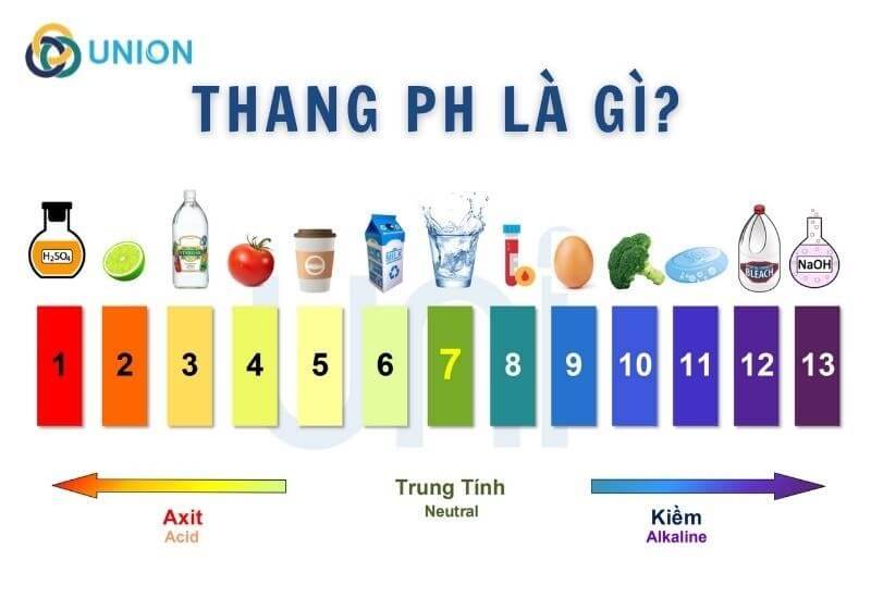 Giấy Quỳ Tím test PH 1-14 Newstar [ Gói 80 test ]