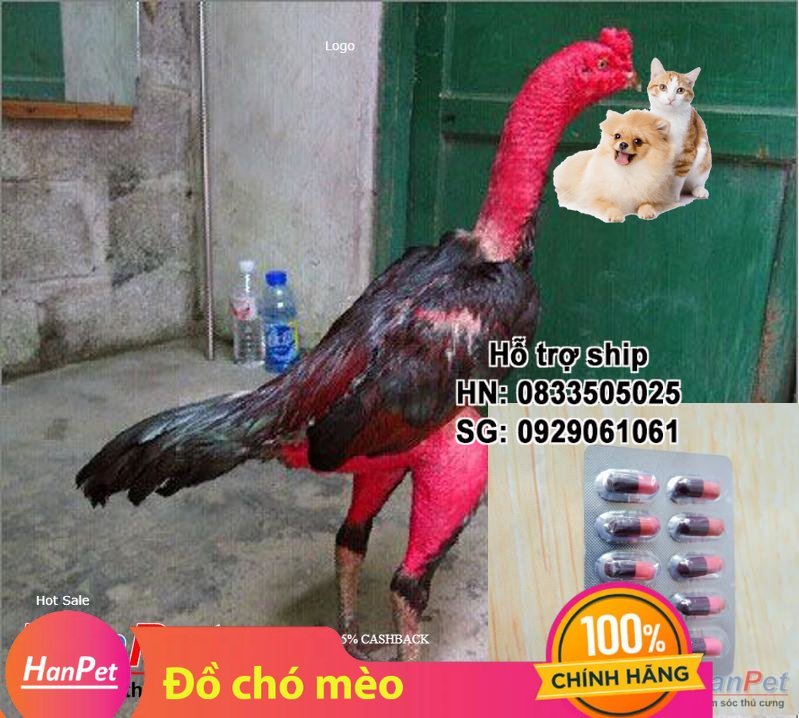 Hanpet - Lẻ 1 vỉ 10 viên Siêu mọc lông cho gà đá, rút ngắn quá trình thay lông, giúp lông cứng cáp bóng mượt