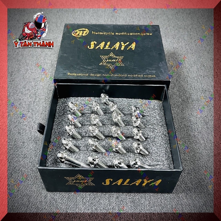 Bộ Ốc Lốc Máy Salaya Exciter 150 21 Con