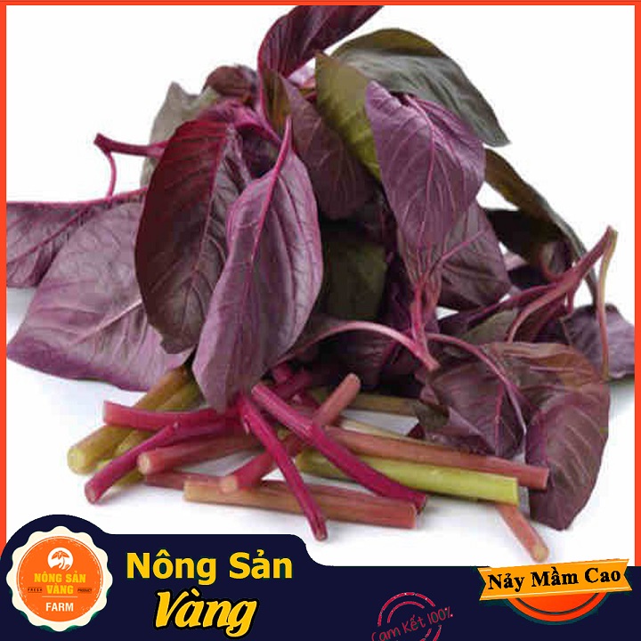 [HCM]Hạt giống Rau Dền Đỏ ( Gói 20 Gram ) - Nông Sản Vàng