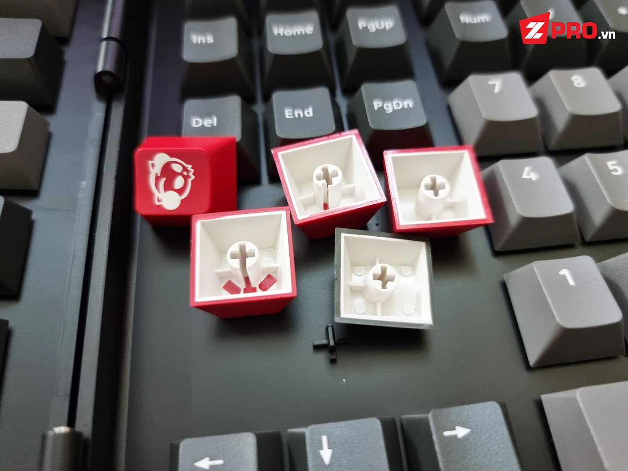 Bộ Keycap AKKO Psittacus (Cherry Profile - 157 Keys)