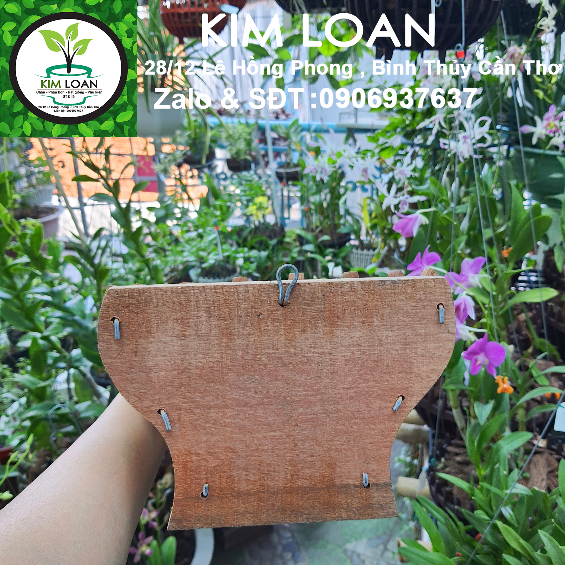 Chậu lan gỗ ốp tường