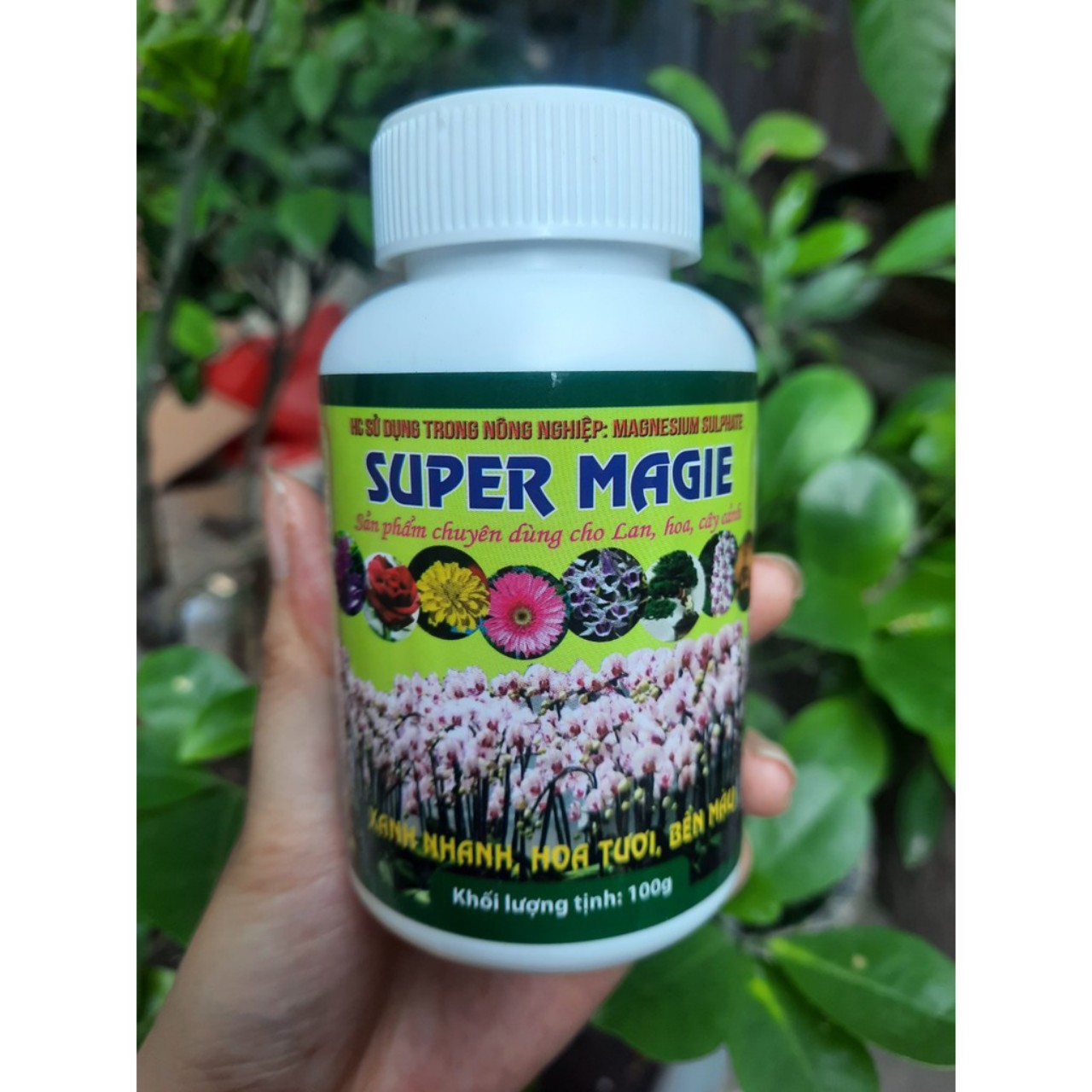 Combo bộ 3 phân bón Super cho hoa lan và cây cảnh (Super Magie, Super Kali, Super Canxi)