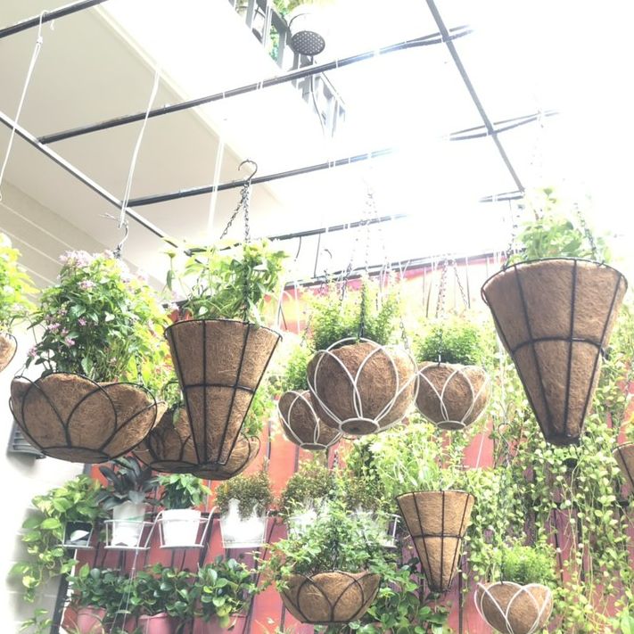 Chậu hoa xơ dừa treo tròn phi 29-30cm