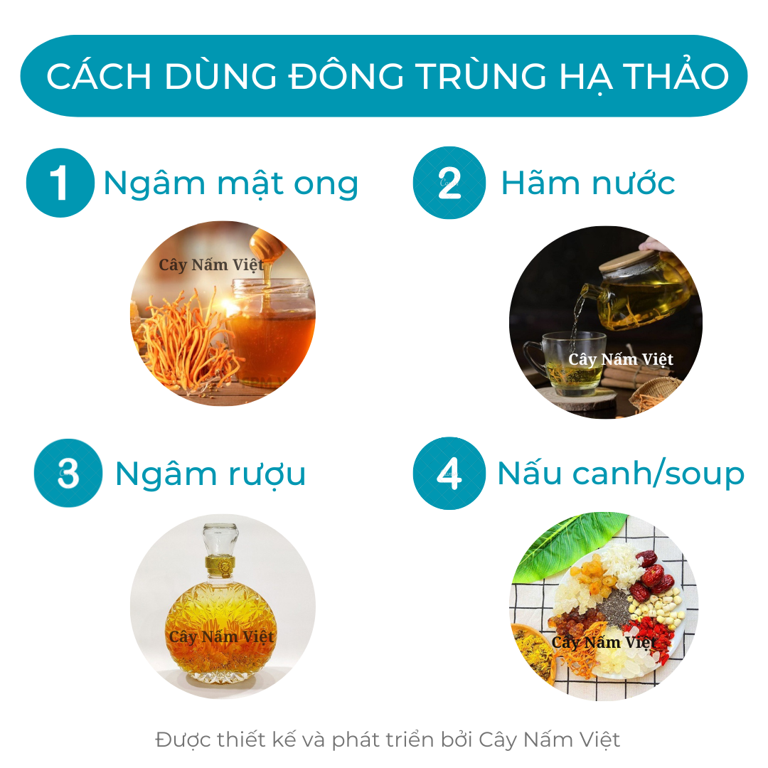 Đông trùng hạ thảo khô sấy thăng hoa 5g gãy