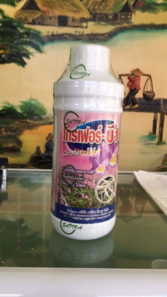 Phân bón kích rễ grofer B1 1 lít (Thái Lan)
