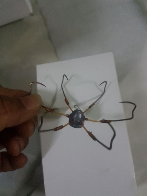 lưỡi câu lục tay quỷ, dáng mèo , xoài