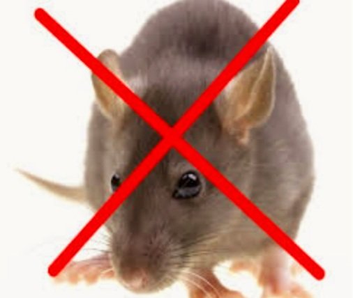 Thuốc diệt chuột killrat 1 gói 40g