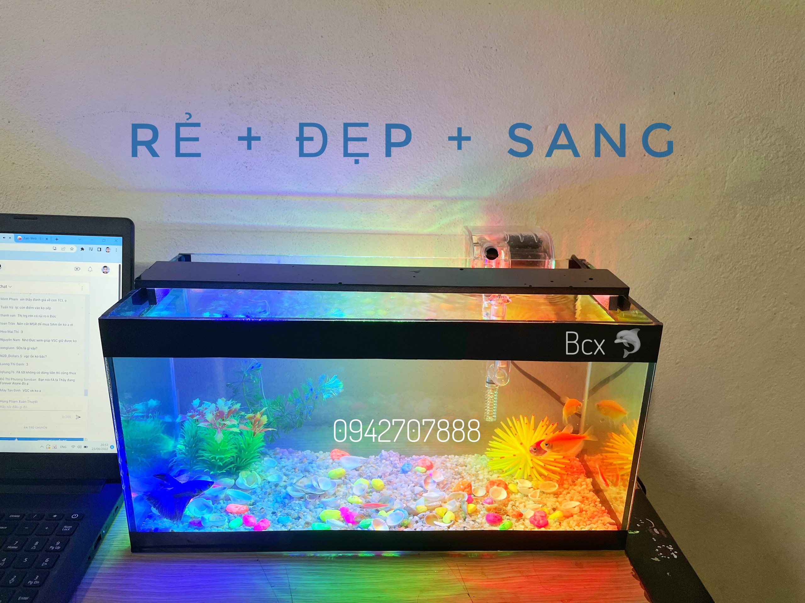 Bể cá mini để bàn 40cm FULL COMBO đầy đủ phụ kiện