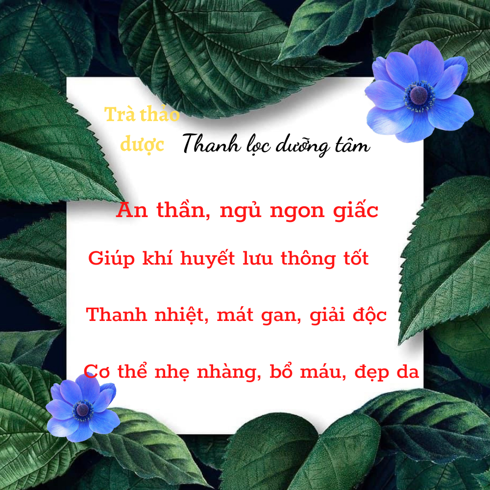 Set trà thanh lọc dưỡng tâm ( long nhãn, kì tử, đường phèn, táo thái lát)