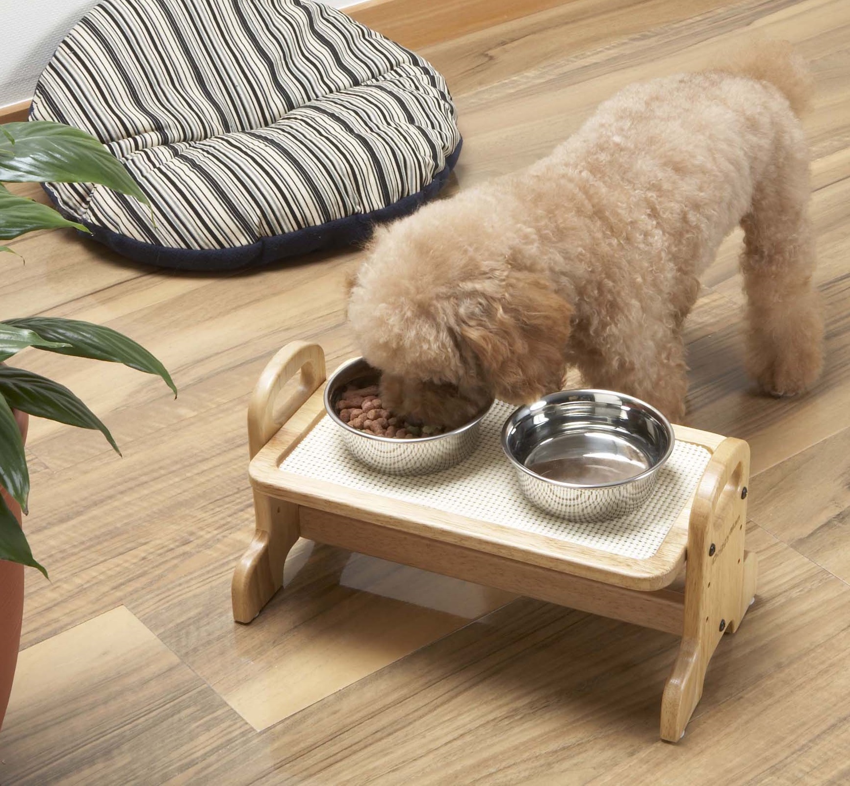 [HCM]Bàn Ăn Gỗ Doggyman Dành Cho Chó Cưng (9330893309)