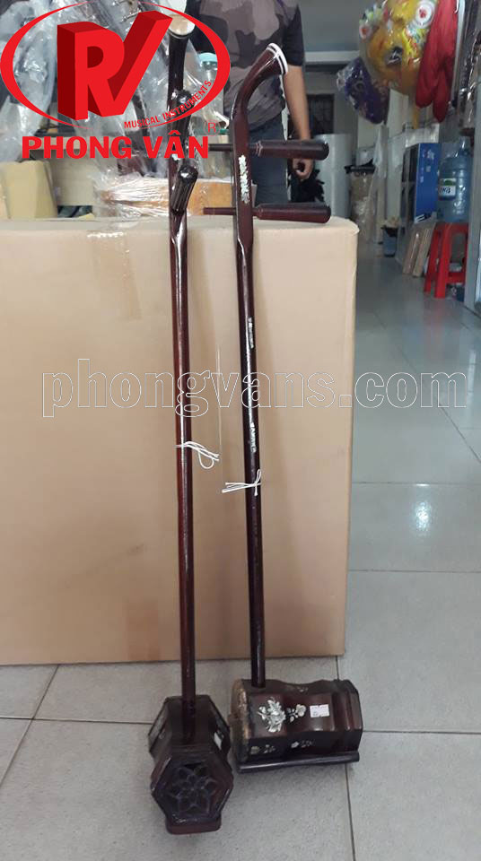 Đàn líu đế Việt Nam