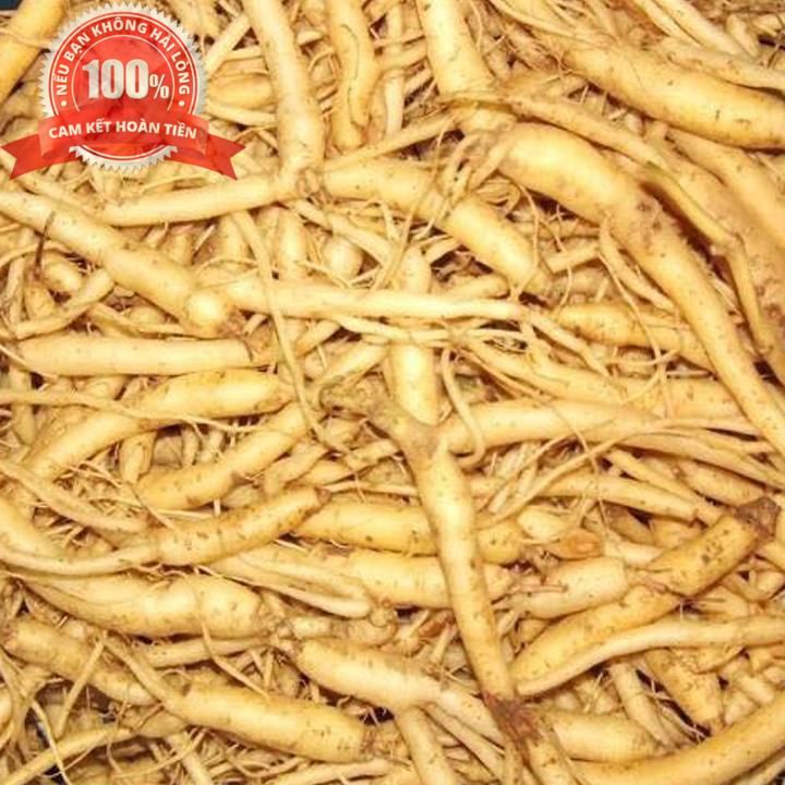 [HCM]1kg Đẳng sâm - Sâm dây ngọc linh - LOẠI SÂM RỪNG