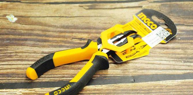 6inch Kìm mũi nhọn mỏ cong INGCO HBNP28168