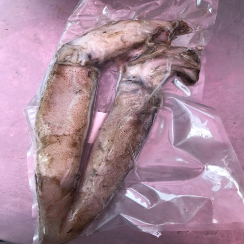 [Chỉ Giao HCM] - Mực Ống - Argentina - 500gram