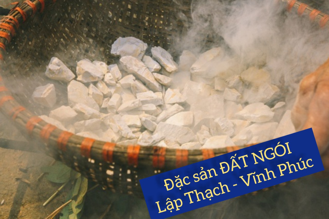 🍒✨ GÓI 600g ĐẤT NGÓI ĂN - MẦM ĐÁ LẬP THẠCH VĨNH PHÚC